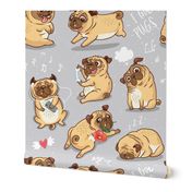 Funny pugs