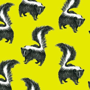 Quiet Skunk on Yellow