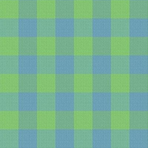 Checks in Lime and Blues