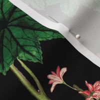 Botanical Vintage Floral Black