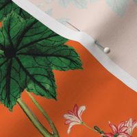 Vintage floral orange- Botanical Vintage Floral