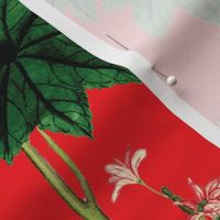 Botanical Vintage Floral Crimson