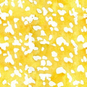 White Spots on Honey Yellow