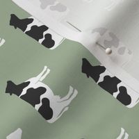 cows on sage - farm fabric C18BS (90)
