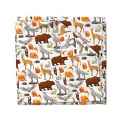 Woodland Forest Animals on White