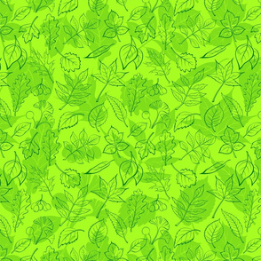 Forest Leaves Green on Lime