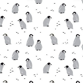 Emperor penguin chicks, small