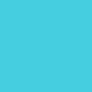 Turquoise Blue Plain Solid Coordinate