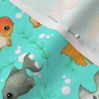 Goldfish (Small print teal)