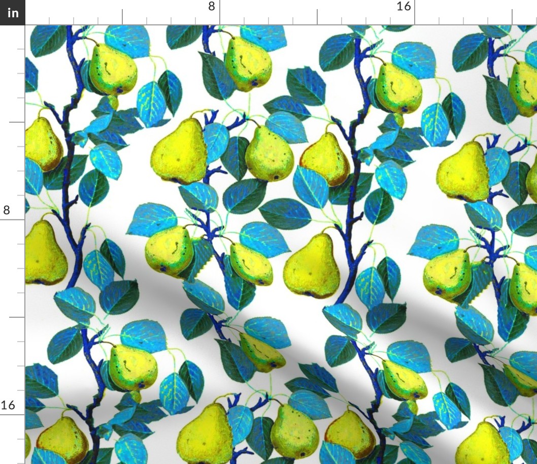 Pear Garden Pears Fruit Blue Green Yellow Citrus Garden