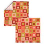 Square In Square - Pink - Cheater Quilt