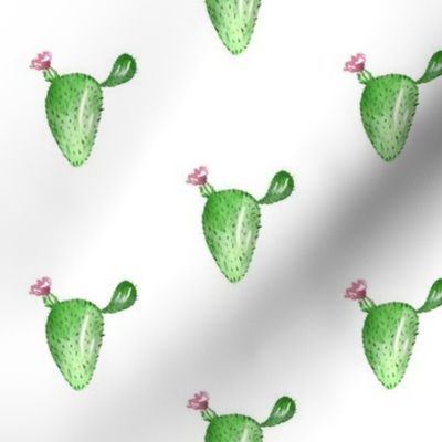 Watercolor Cactus With Flower