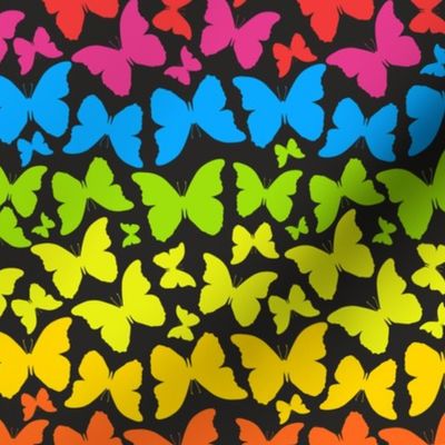Butterflies Rainbow Stripe