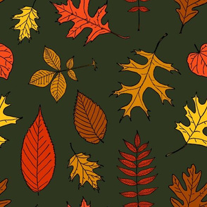 Colorful Fall & Autumn Leaves with a Forest Green Background