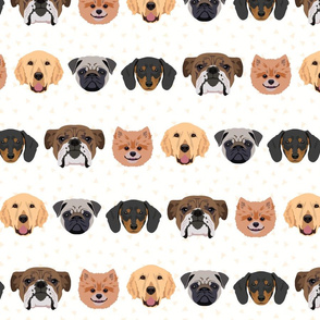 Lots of Dogs - White Background