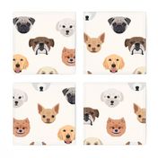 Many Dogs - White Background