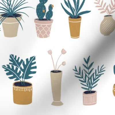 Potted Plants on White