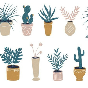 Potted Plants on White