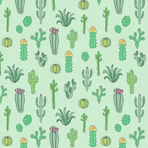 Cactus In Green