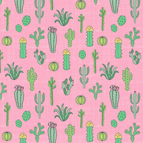 Cactus In Pink