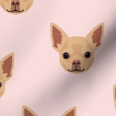 Chihuahua Dog Pattern - Pink Background