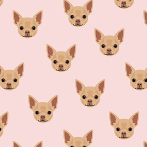 Chihuahua Dog Pattern - Pink Background