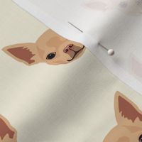 Chihuahua Dog Pattern - White Background