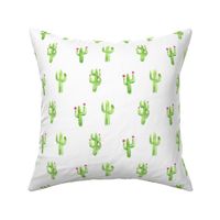 Cactus/Cacti