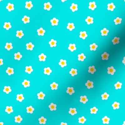 Turquoise Daisies