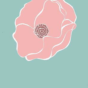 pink and blue poppy