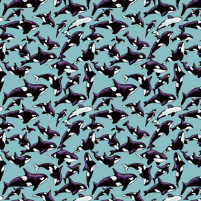 Orca Fabric Killer Whales
