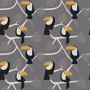 Toucans on grey