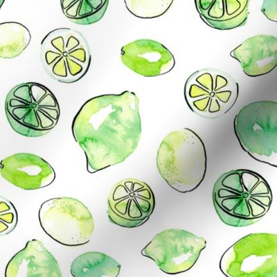 Watercolor Limes