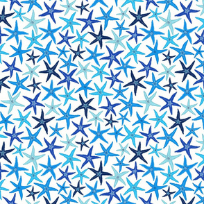 starfish - blue