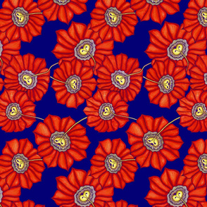 Red sunflower on blue
