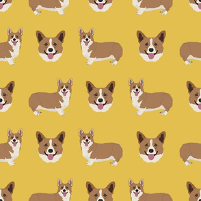 Corgi Dogs on Yellow Background