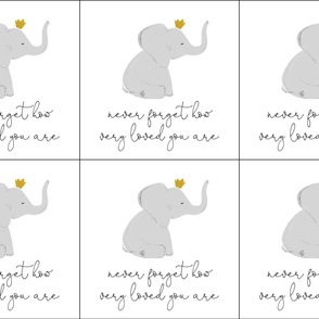 6 loveys: never forget how very loved you are elephant with crown