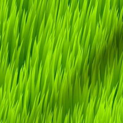 Tall Green Grass Bermuda Lawn