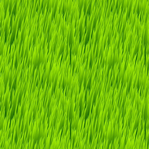 Tall Green Grass Bermuda Lawn