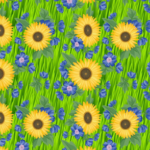 Field of Yellow and Blue Flowers