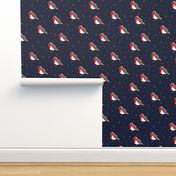 Winter wonderland red robin birds in snow navy blue red boys  SMALL