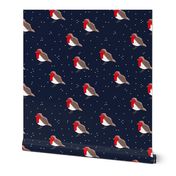 Winter wonderland red robin birds in snow navy blue red boys  SMALL