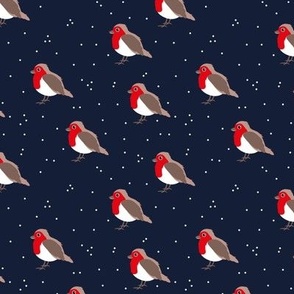 Winter wonderland red robin birds in snow navy blue red boys  SMALL