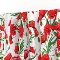 Hand drawn red poppy flowers watercolor pattern design