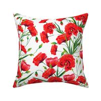 Hand drawn red poppy flowers watercolor pattern design