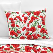 Hand drawn red poppy flowers watercolor pattern design