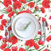 Hand drawn red poppy flowers watercolor pattern design