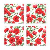 Hand drawn red poppy flowers watercolor pattern design