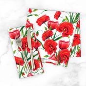 Hand drawn red poppy flowers watercolor pattern design