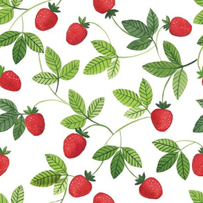 Watercolor strawberries